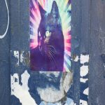 space cat sticker