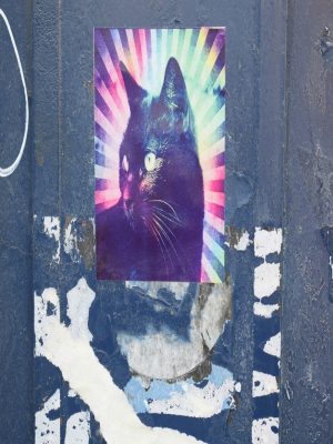 space cat sticker